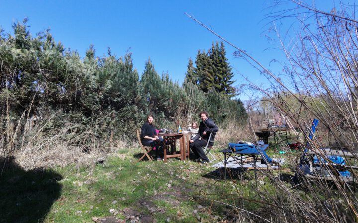 In der Natur